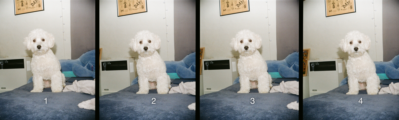 Four frames of the same scene captured at once by the camera array, numbered 1 to 4
